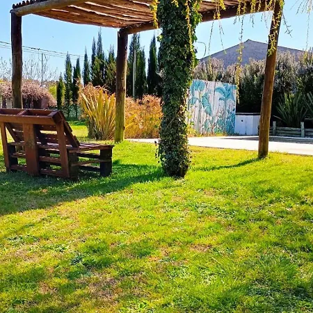Complejo Arenas Apartment Pehuen-Co Exterior photo