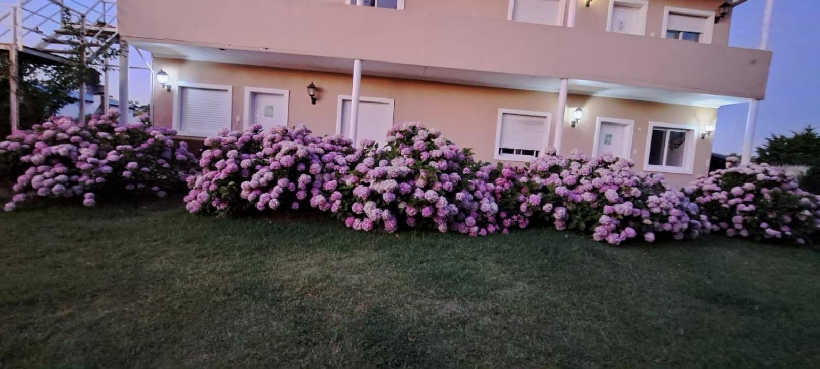 Apartment Complejo Arenas Pehuen-Co